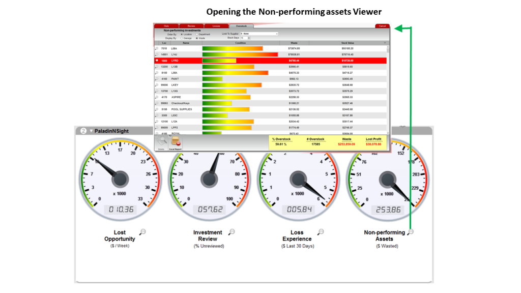 Opening the non-performing assets viewer