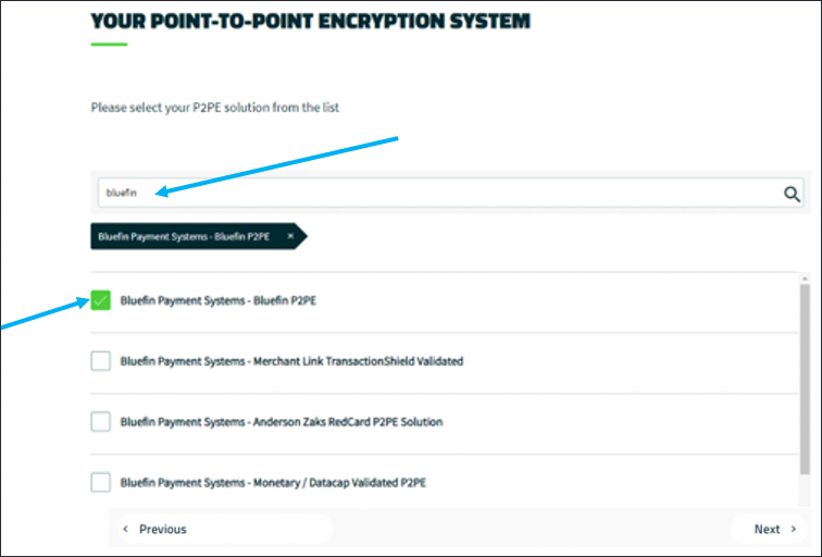 Your Point-to-Point Encryption System window