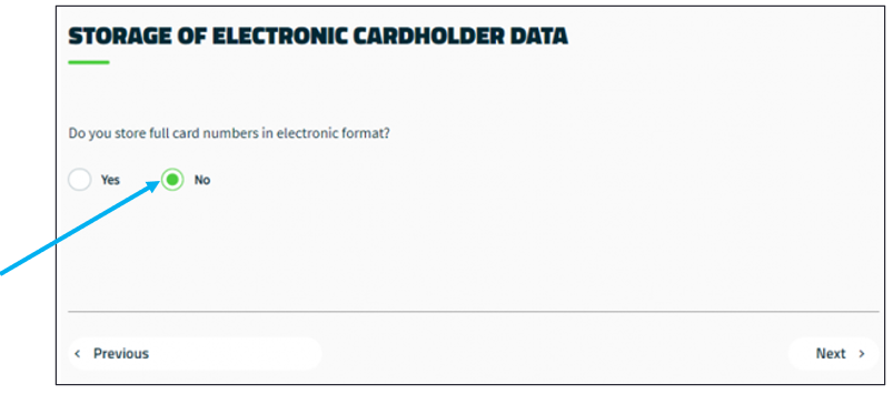 Storage of Electronic Cardholder Data window
